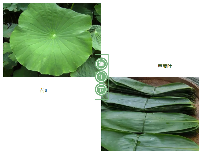 星空电竞医纺