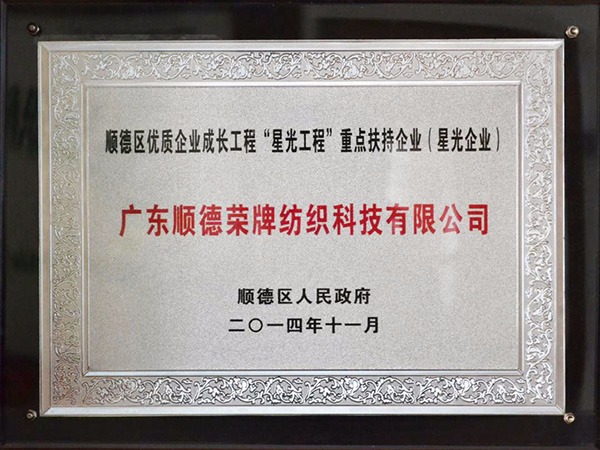 星空电竞-2012年获顺德政府颁发“星光企业”称号
