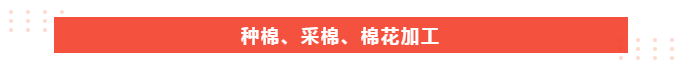 星空电竞医纺