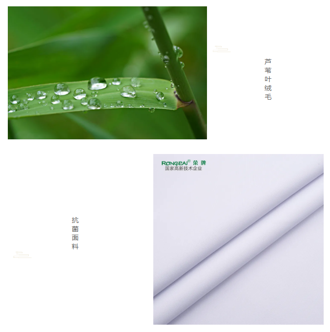 星空电竞医纺