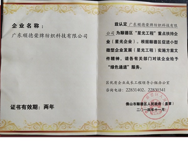 星空电竞荣获政府重点扶持企业